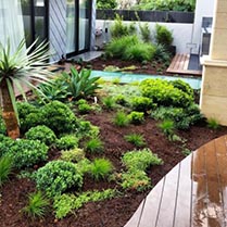 Mulched Garden Beds and plant installation Wembley