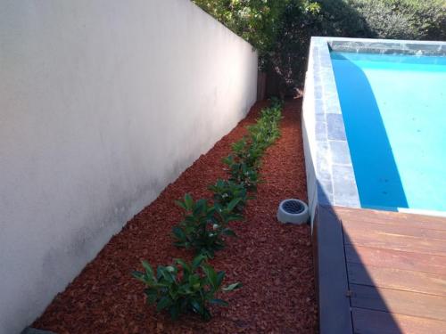Red Mulch application in South Perth 